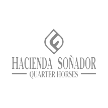 __LOGOS_ELEMENTOS_HOME_RLA-03