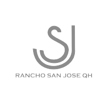 __LOGOS_ELEMENTOS_HOME_RLA-05